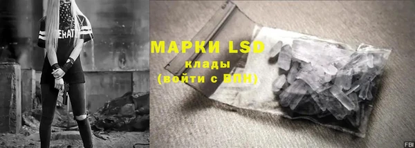 mdpv Бородино