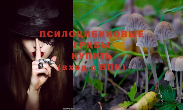mdpv Бородино