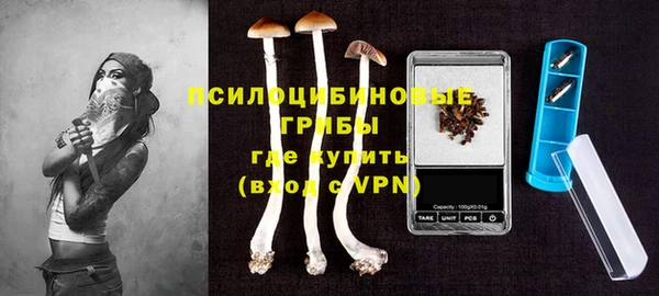 mdpv Бородино