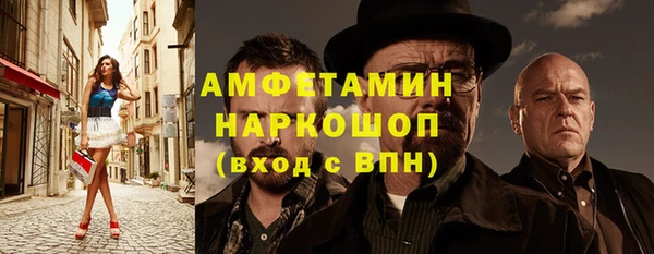 mdpv Бородино