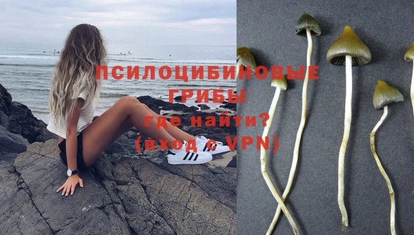 mdpv Бородино
